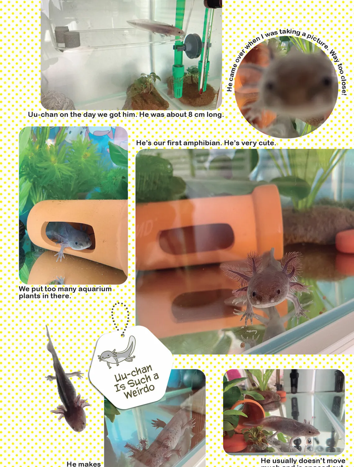My Cat is Such a Weirdo Chapter 46 page 27 - 