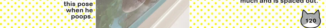 My Cat is Such a Weirdo Chapter 46 page 28 - 