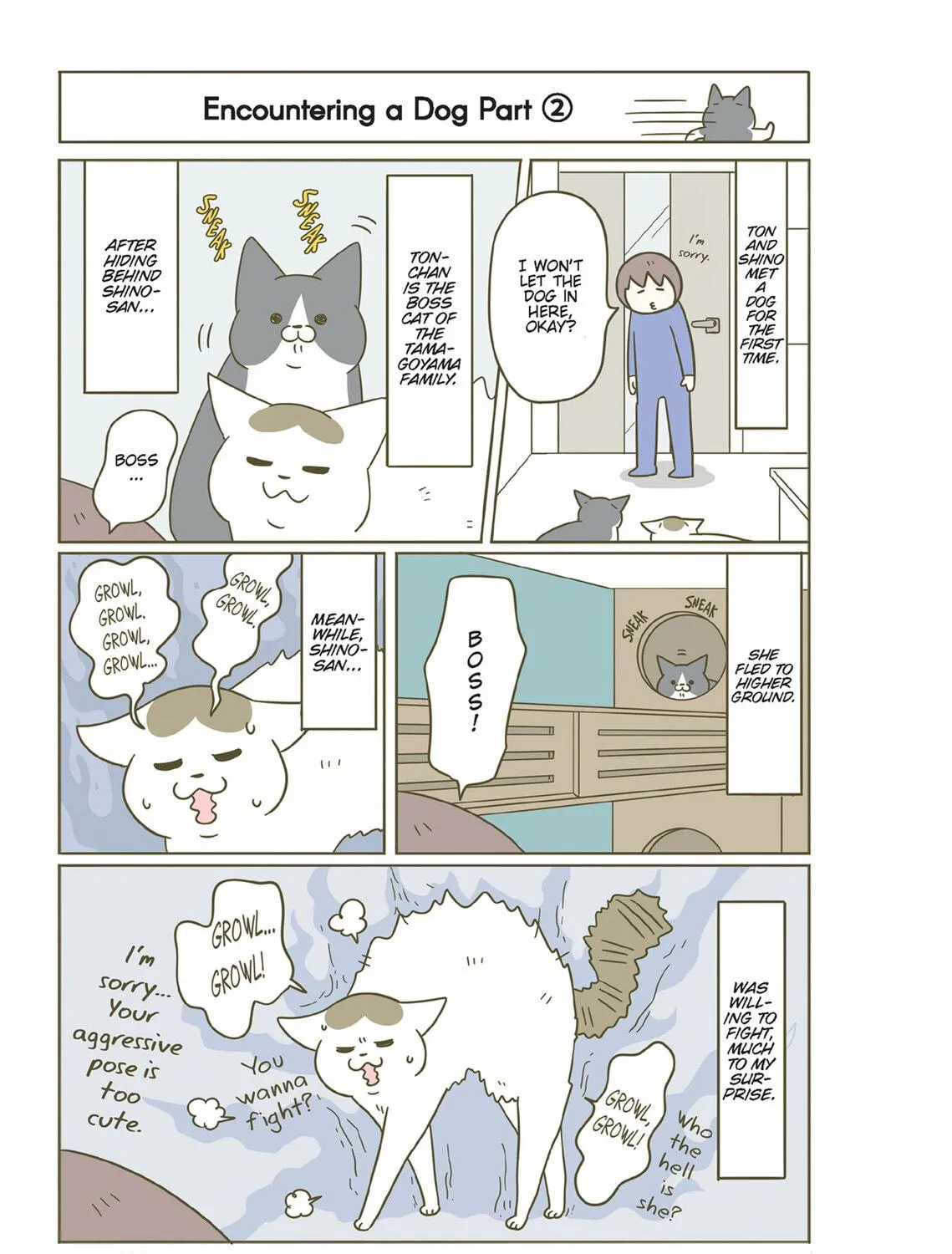 My Cat is Such a Weirdo Chapter 46 page 5 - 