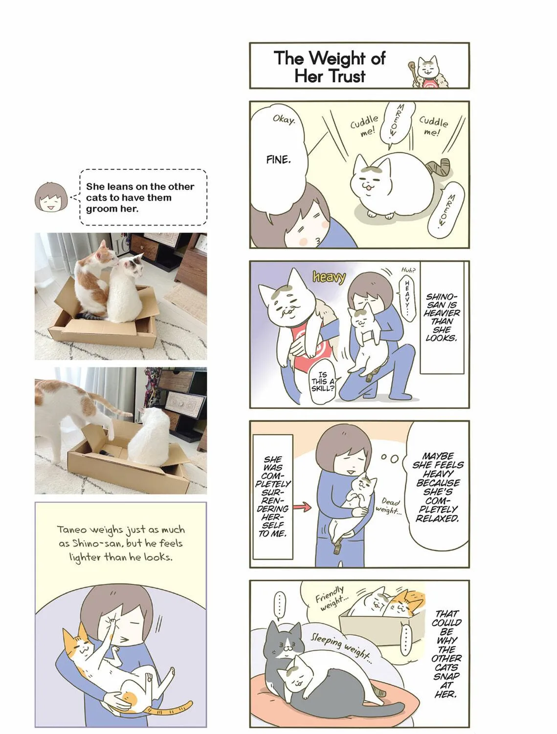 My Cat is Such a Weirdo Chapter 47 page 17 - 