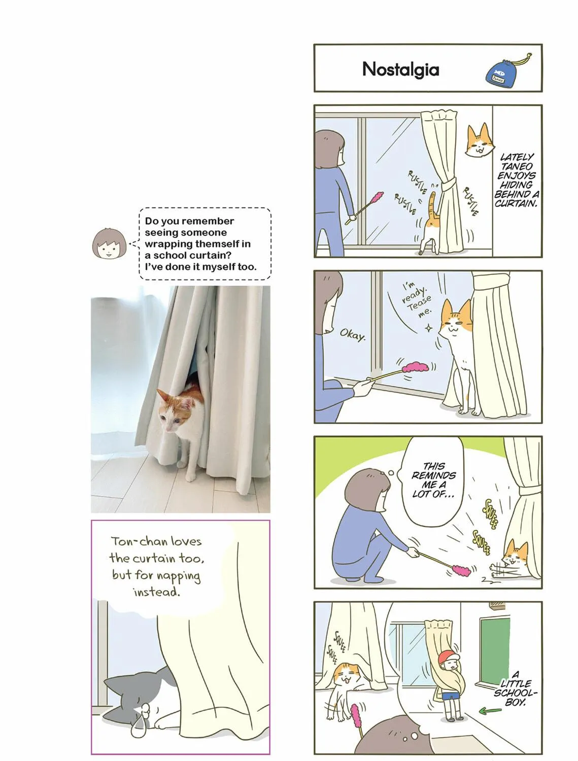 My Cat is Such a Weirdo Chapter 47 page 19 - 