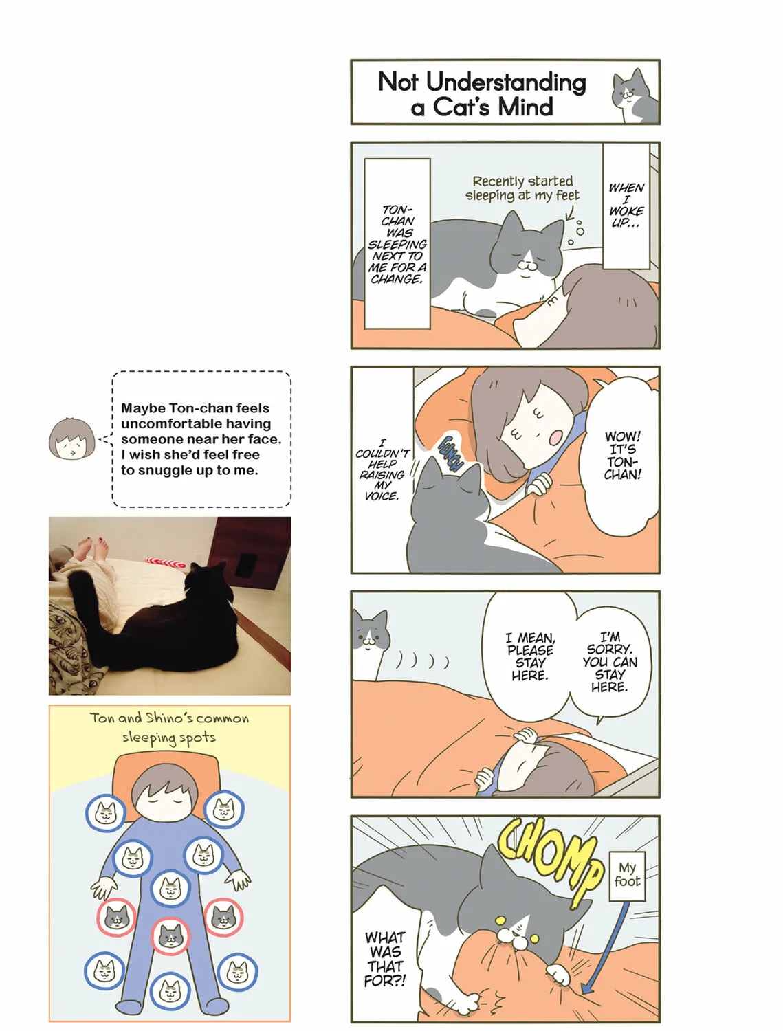 My Cat is Such a Weirdo Chapter 47 page 21 - 
