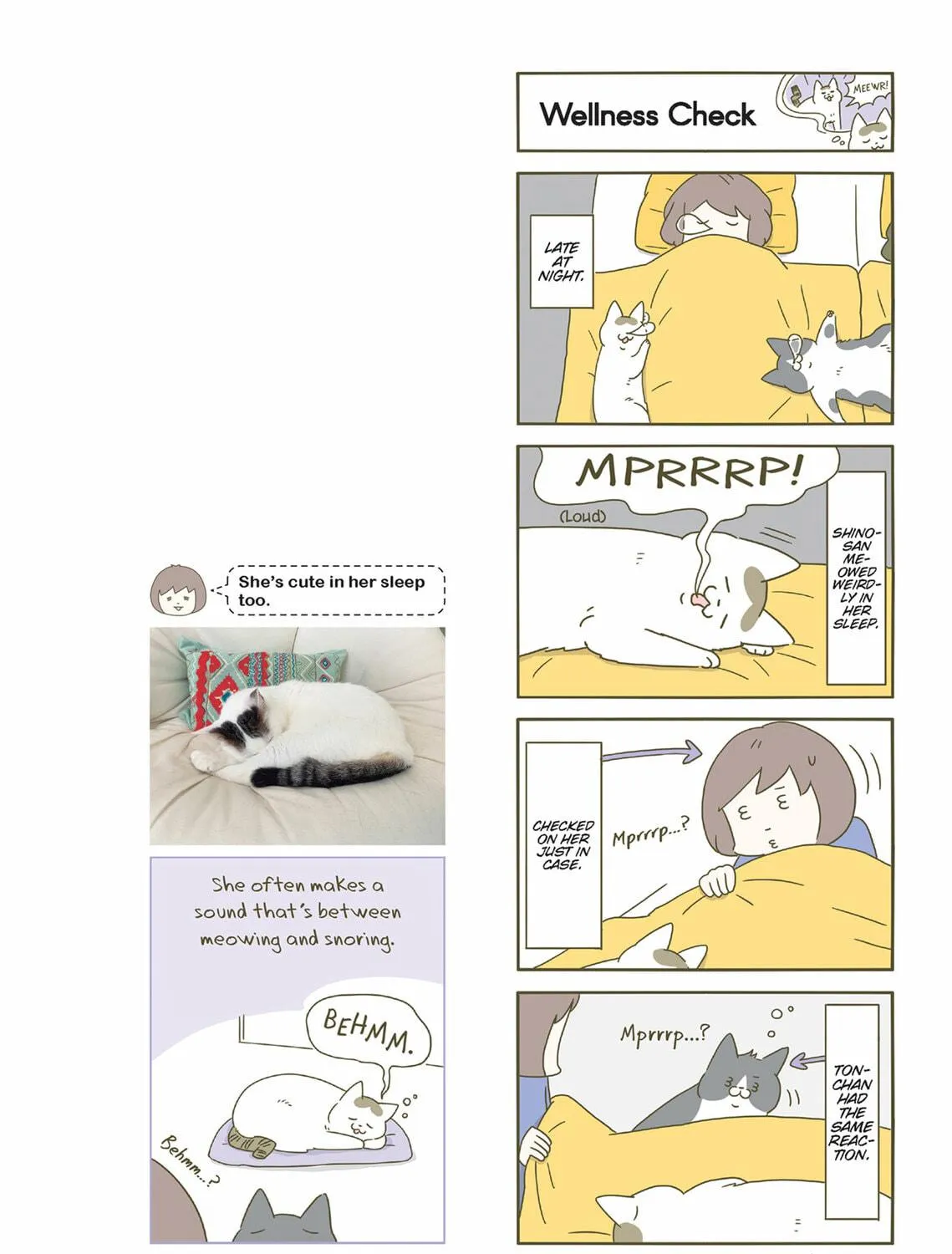 My Cat is Such a Weirdo Chapter 47 page 23 - 