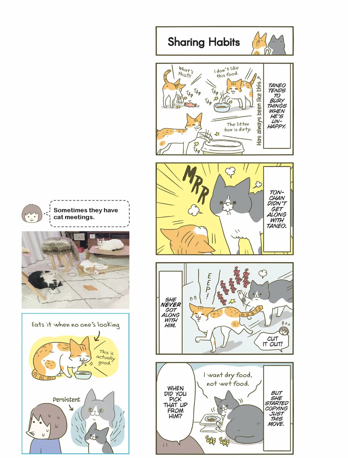 My Cat is Such a Weirdo Chapter 47 page 25 - 
