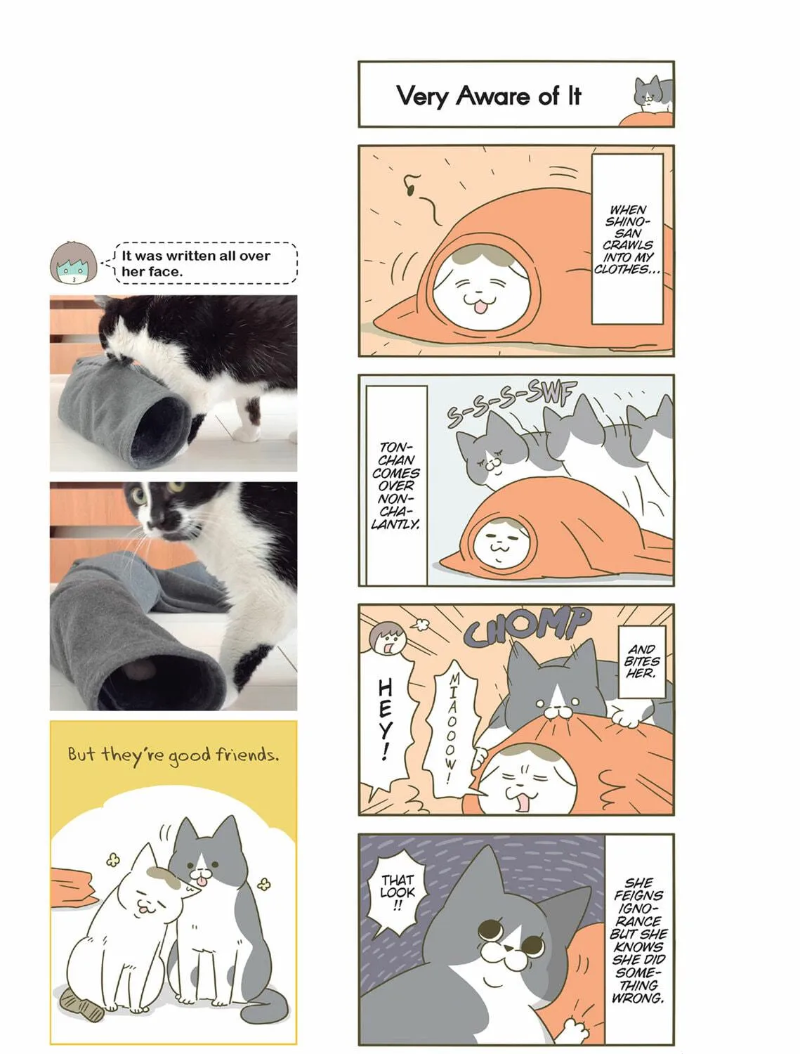 My Cat is Such a Weirdo Chapter 47 page 29 - 