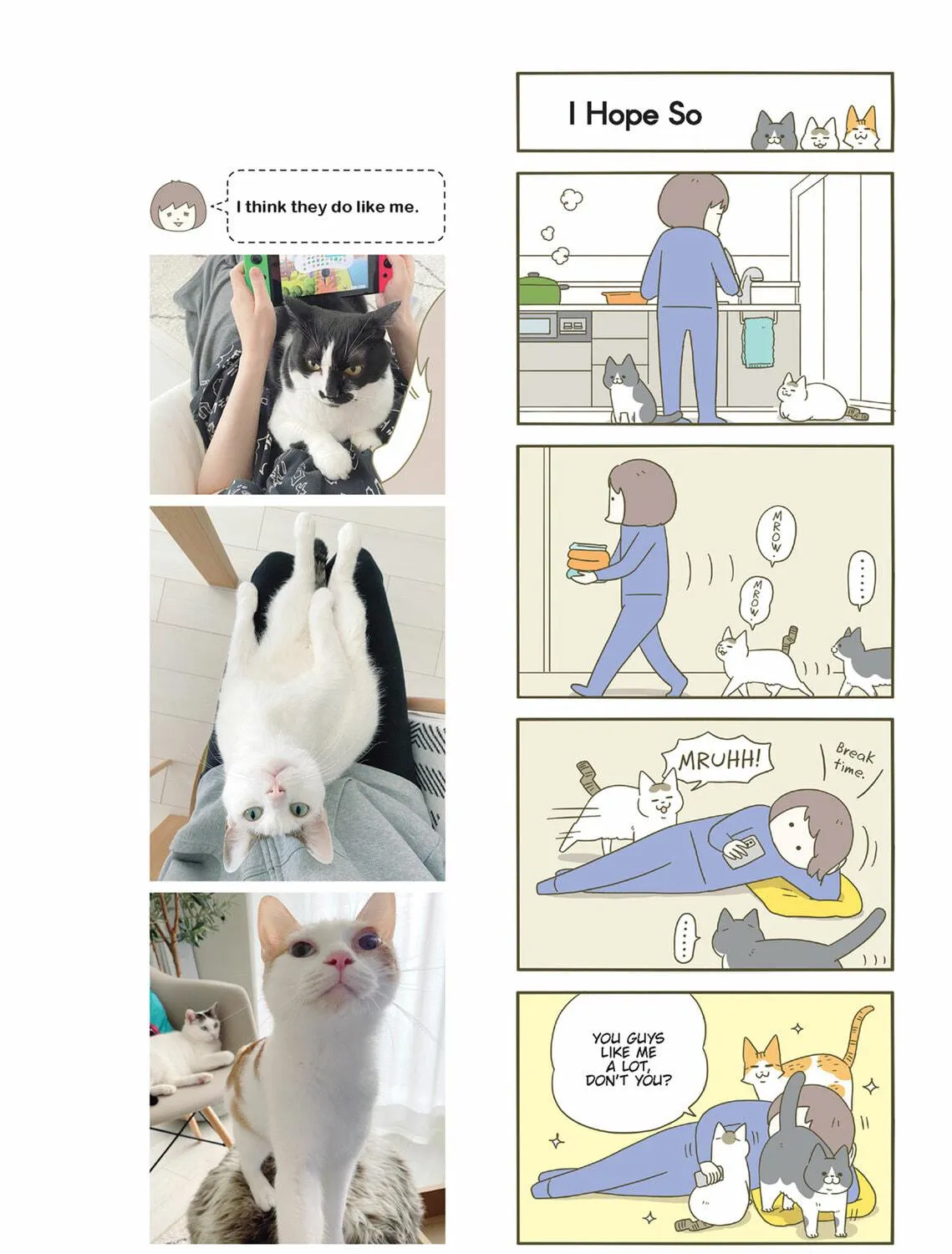 My Cat is Such a Weirdo Chapter 47 page 35 - 