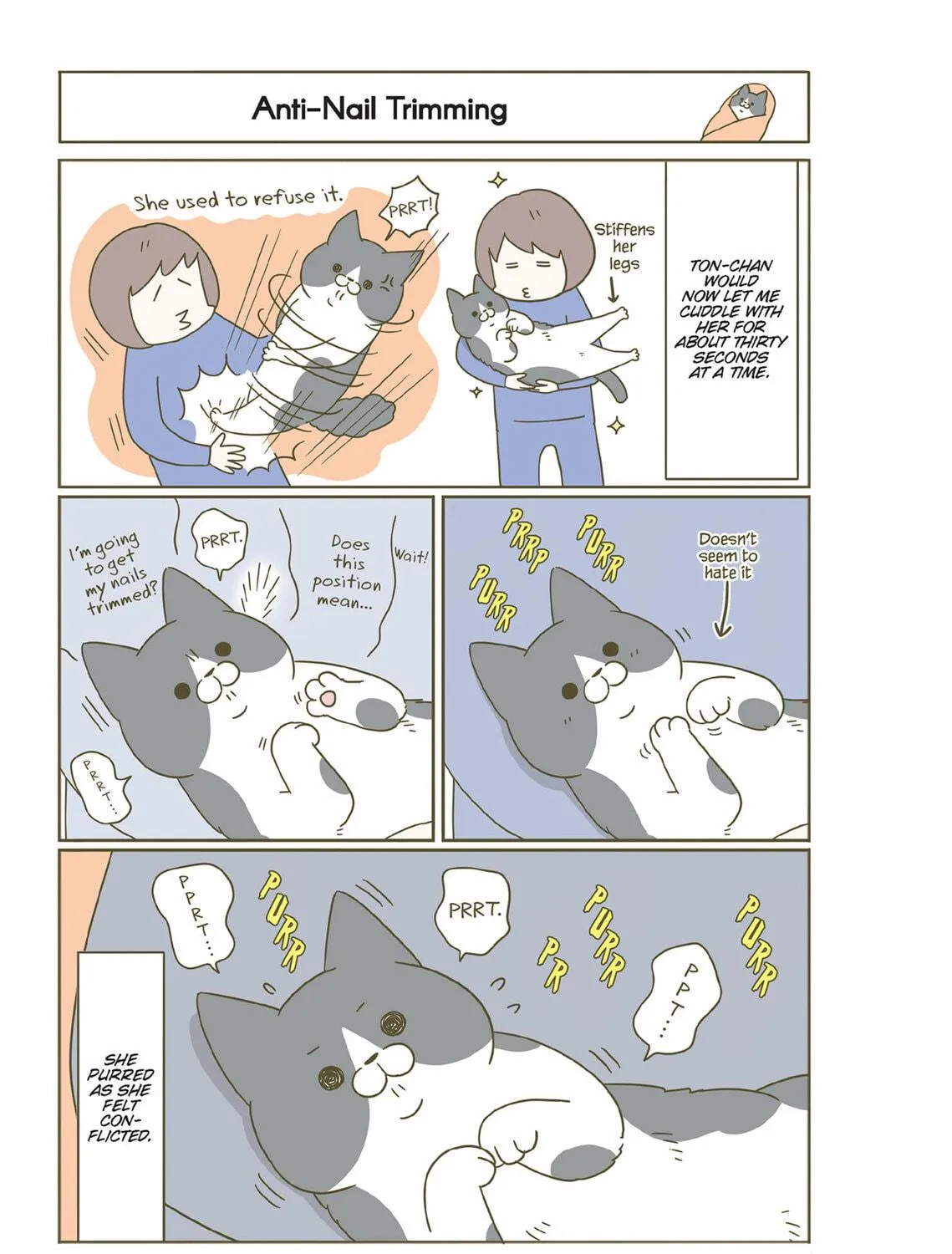 My Cat is Such a Weirdo Chapter 47 page 5 - 
