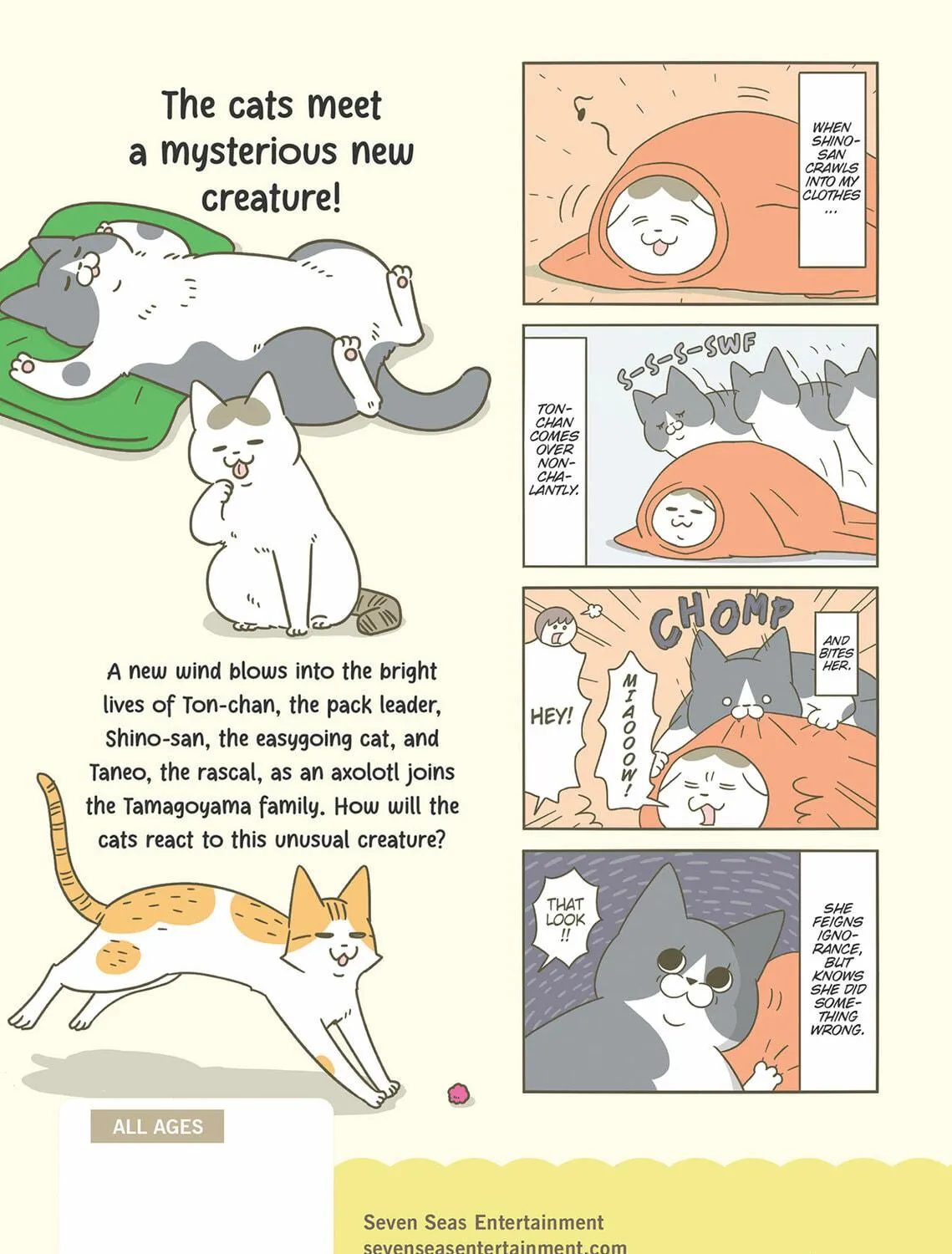 My Cat is Such a Weirdo Chapter 47 page 49 - 