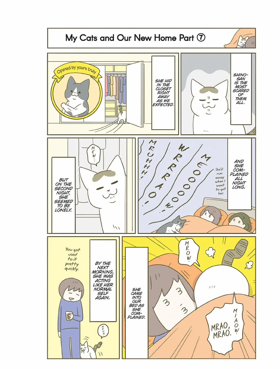 My Cat is Such a Weirdo Chapter 48 page 35 - 