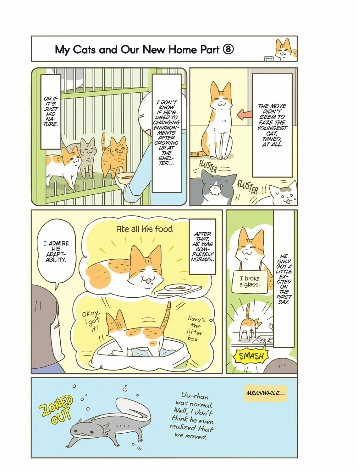 My Cat is Such a Weirdo Chapter 48 page 37 - 