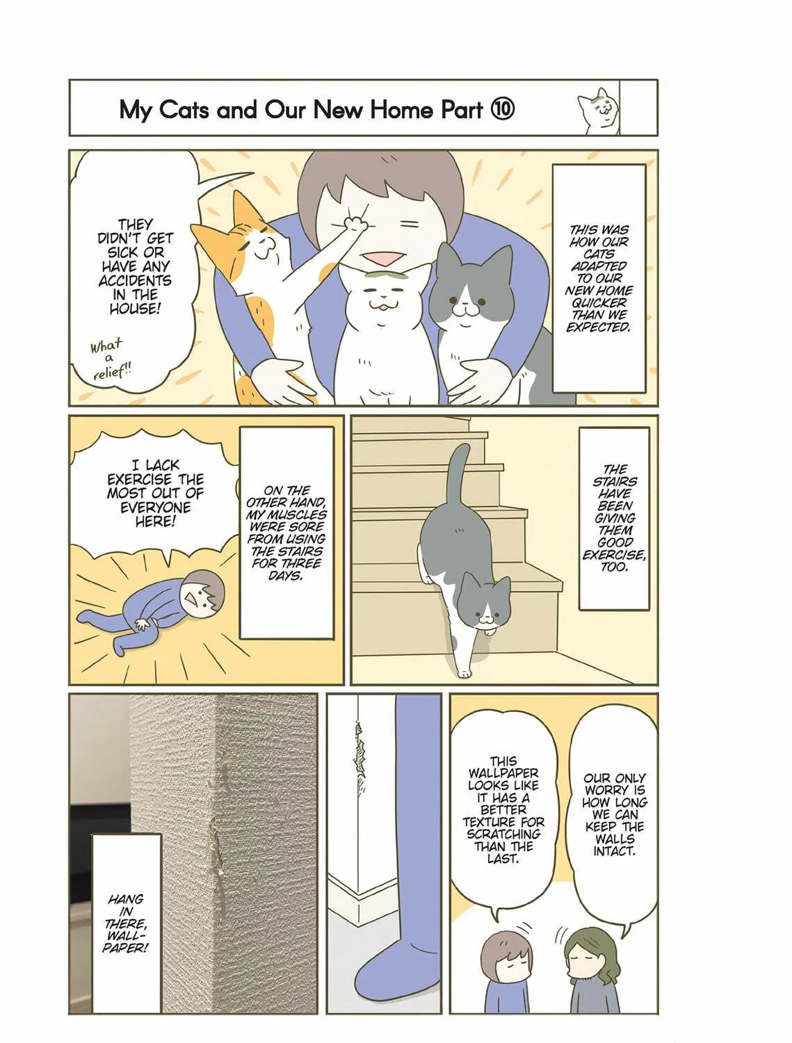 My Cat is Such a Weirdo Chapter 48 page 41 - 