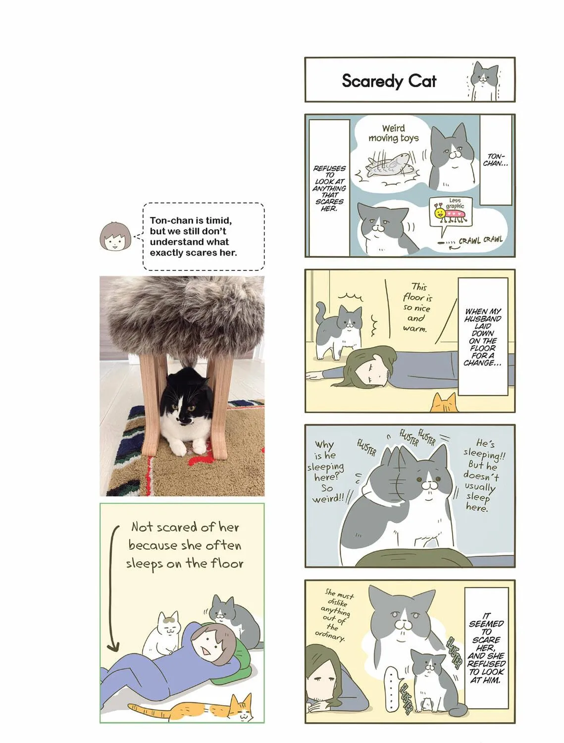 My Cat is Such a Weirdo Chapter 49 page 11 - 
