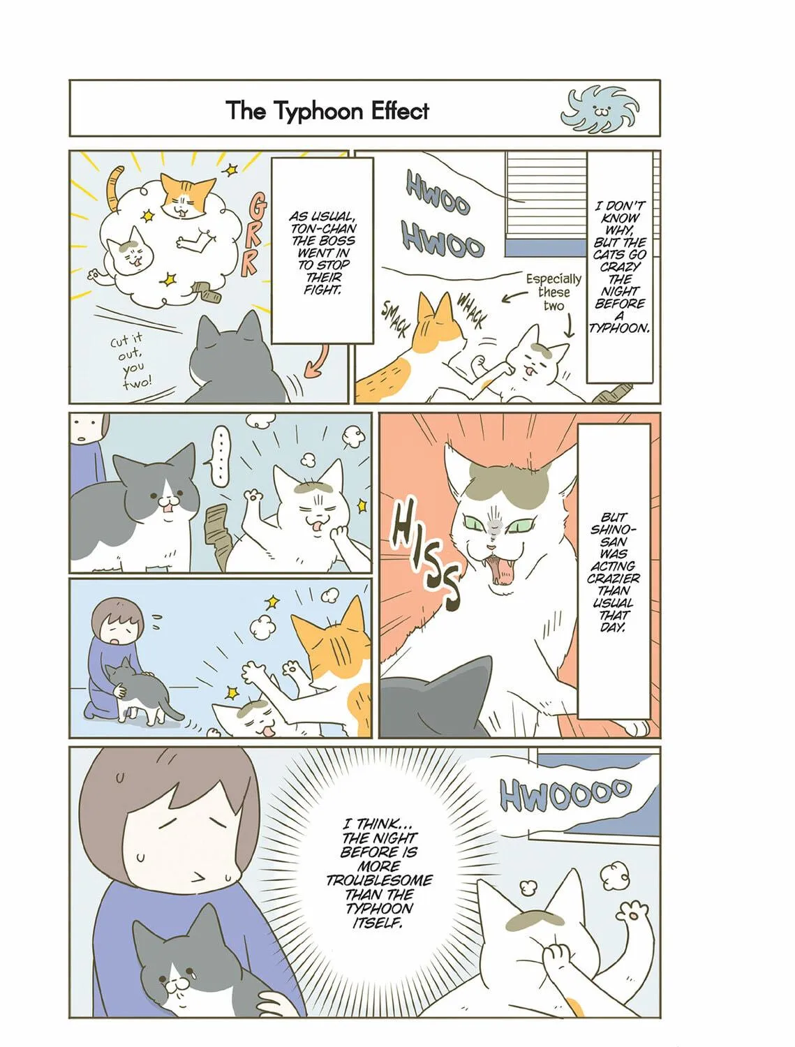 My Cat is Such a Weirdo Chapter 49 page 5 - 