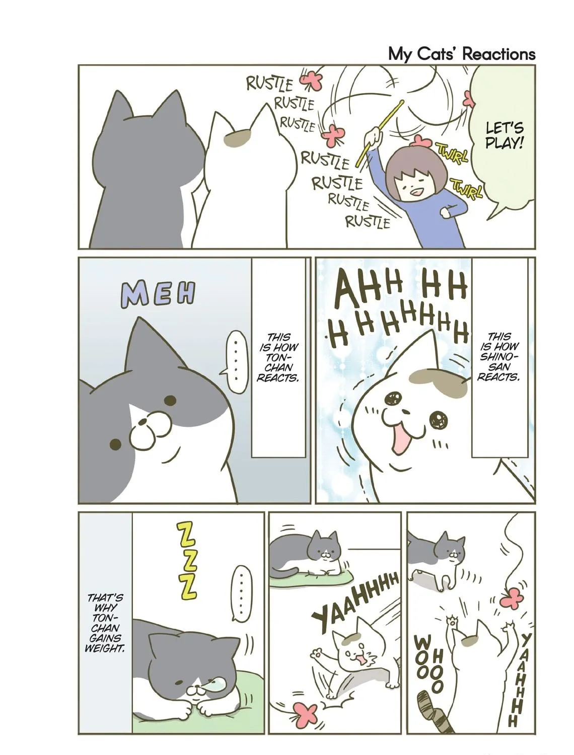 My Cat is Such a Weirdo Chapter 5 page 11 - 