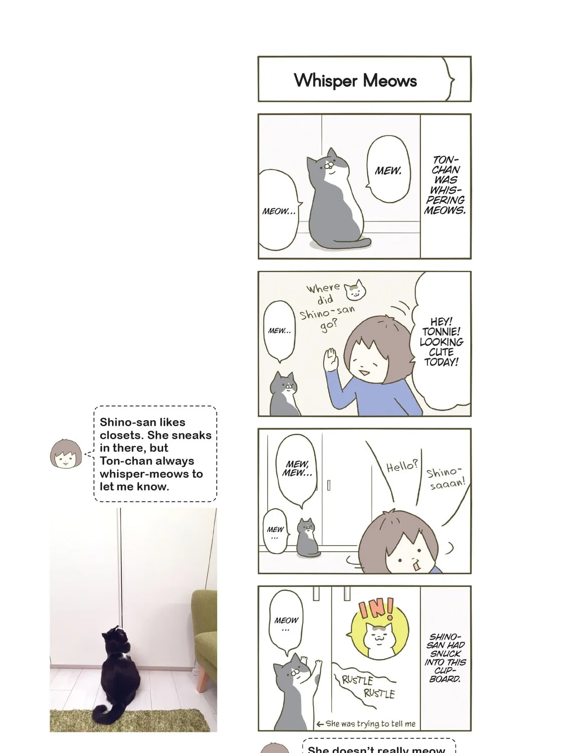 My Cat is Such a Weirdo Chapter 5 page 13 - 