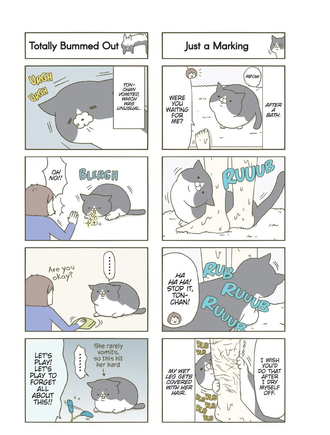 My Cat is Such a Weirdo Chapter 5 page 25 - 