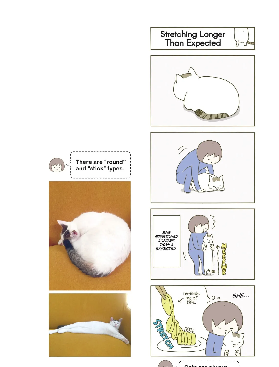 My Cat is Such a Weirdo Chapter 5 page 31 - 
