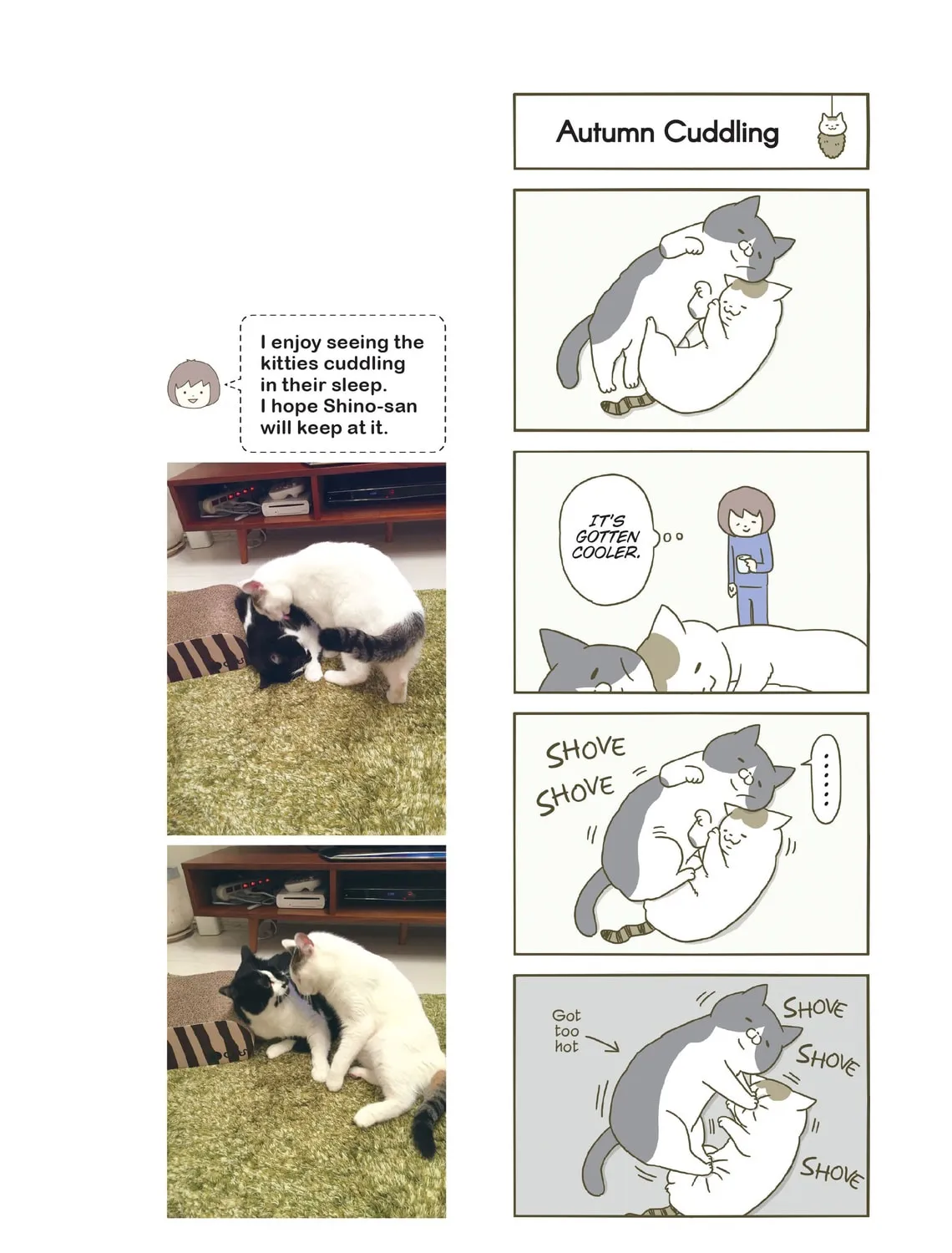 My Cat is Such a Weirdo Chapter 5 page 43 - 