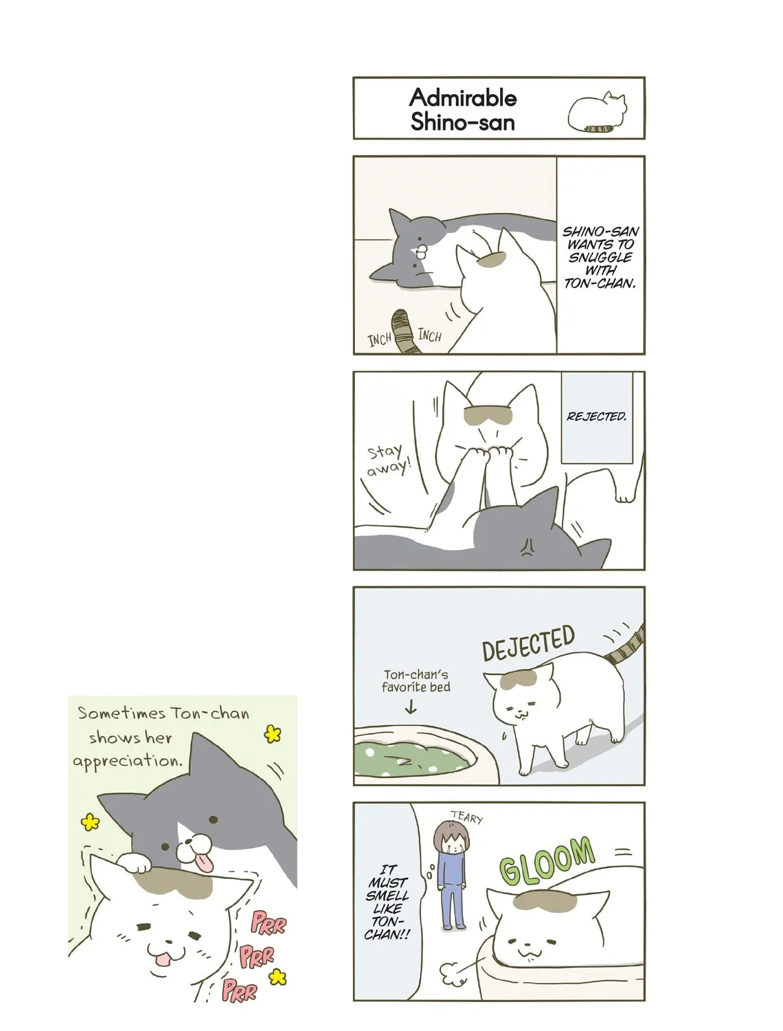 My Cat is Such a Weirdo Chapter 5 page 45 - 