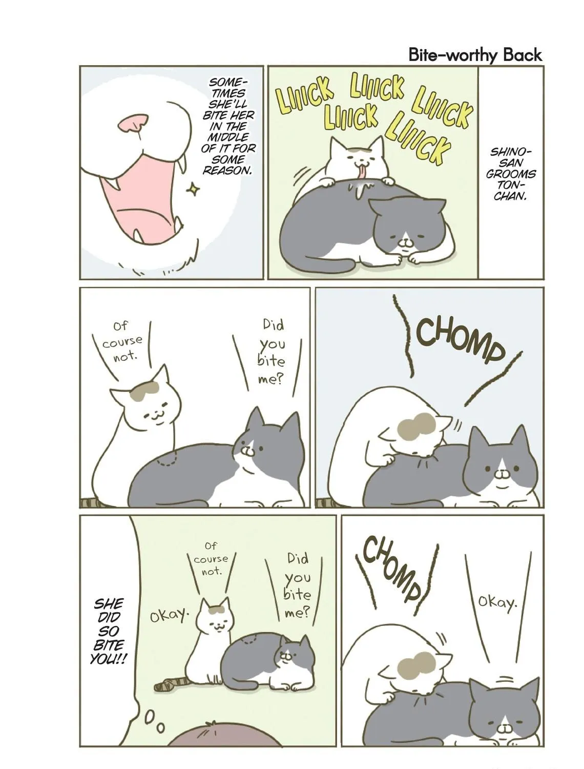 My Cat is Such a Weirdo Chapter 5 page 47 - 