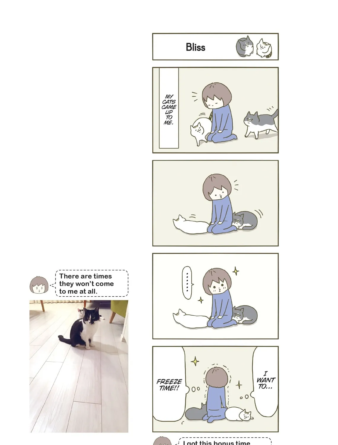 My Cat is Such a Weirdo Chapter 5 page 57 - 