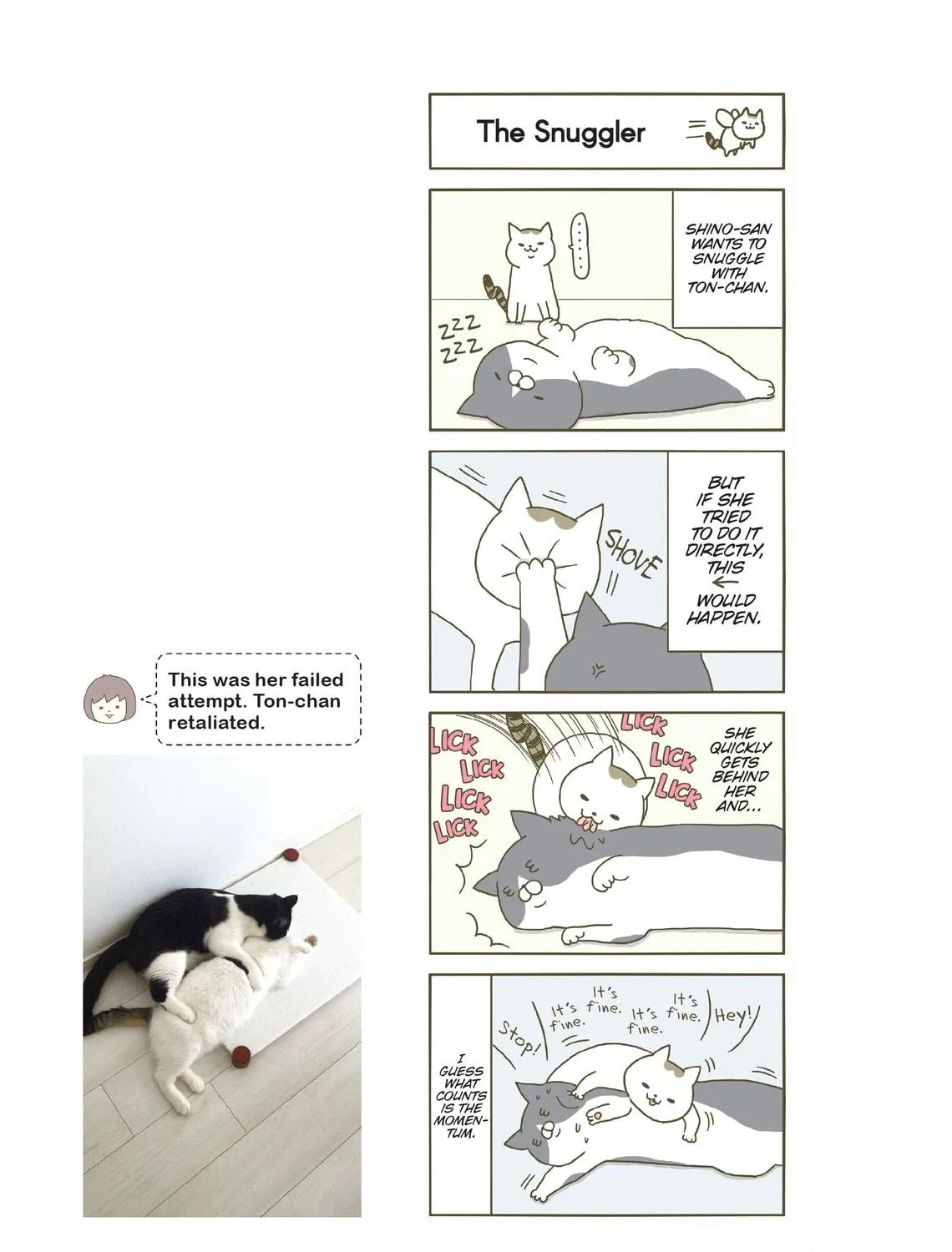 My Cat is Such a Weirdo Chapter 5 page 9 - 