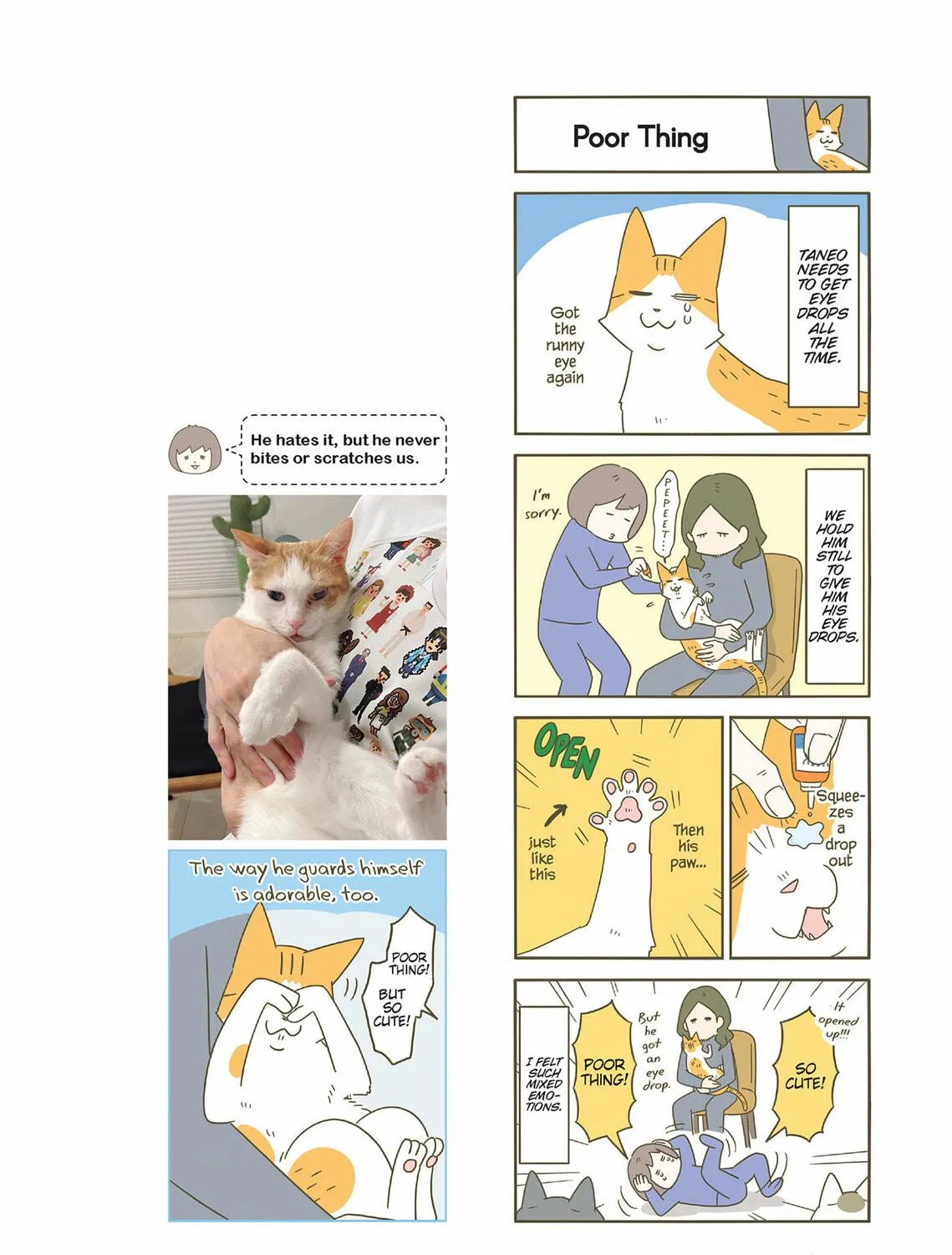 My Cat is Such a Weirdo Chapter 50 page 11 - 