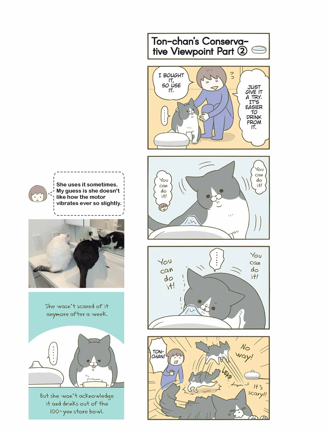 My Cat is Such a Weirdo Chapter 50 page 21 - 