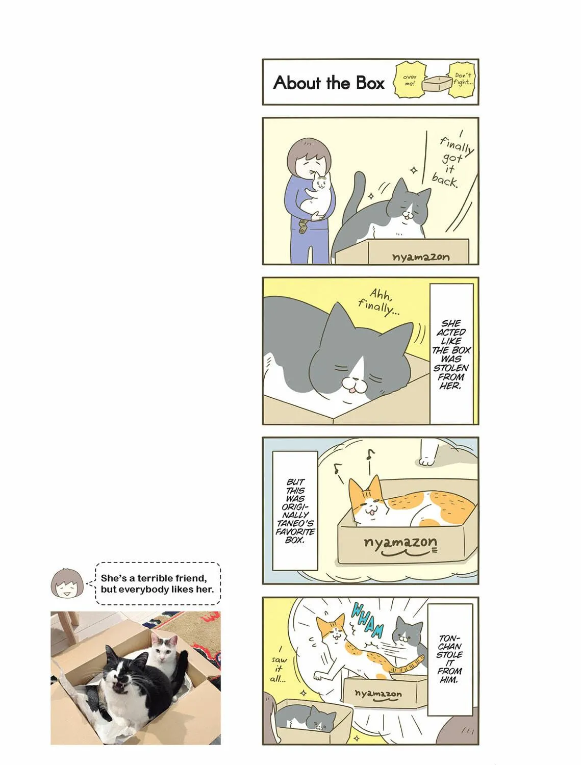 My Cat is Such a Weirdo Chapter 50 page 5 - 