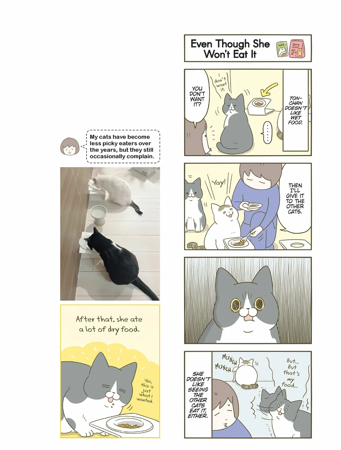 My Cat is Such a Weirdo Chapter 51 page 15 - 