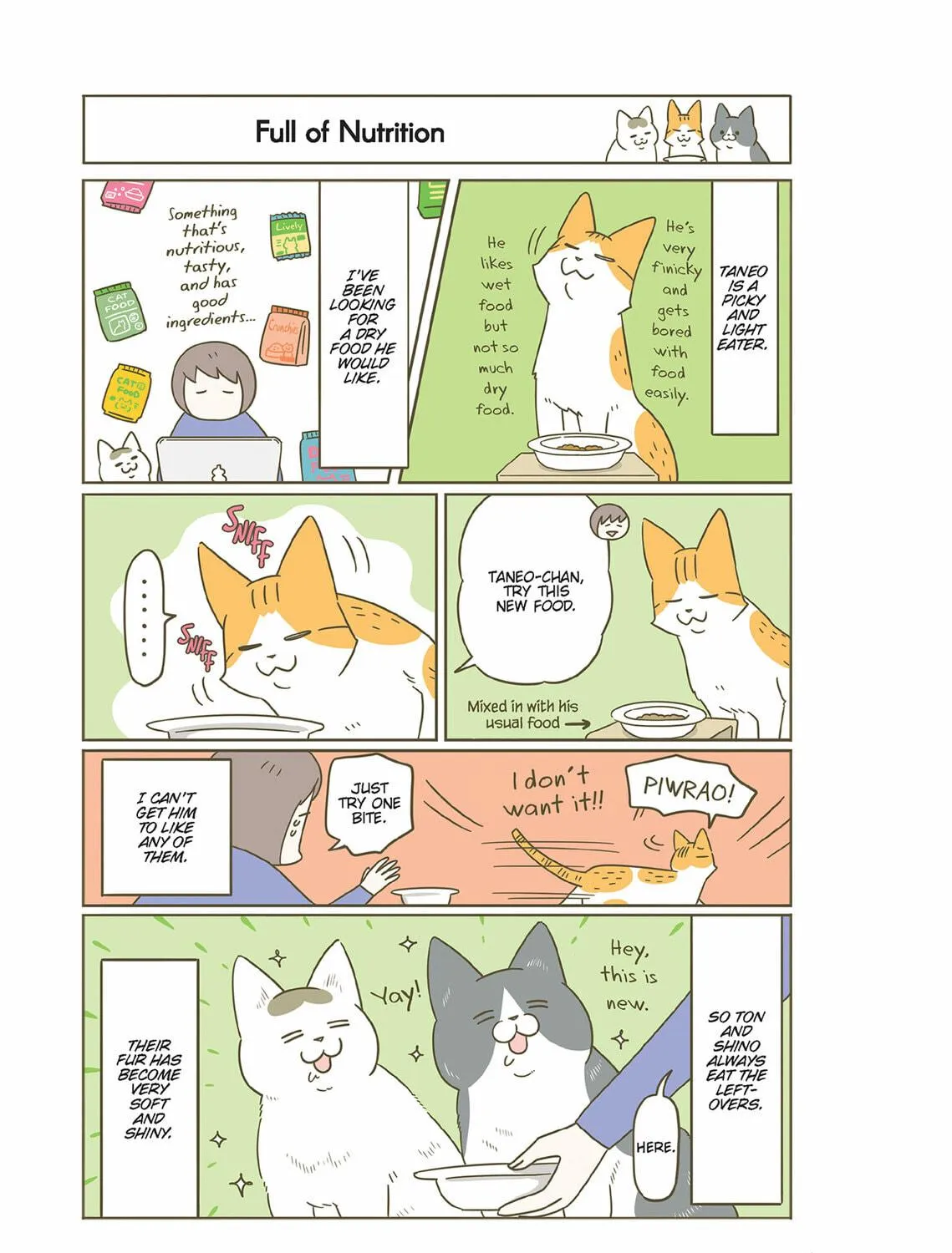 My Cat is Such a Weirdo Chapter 51 page 17 - 
