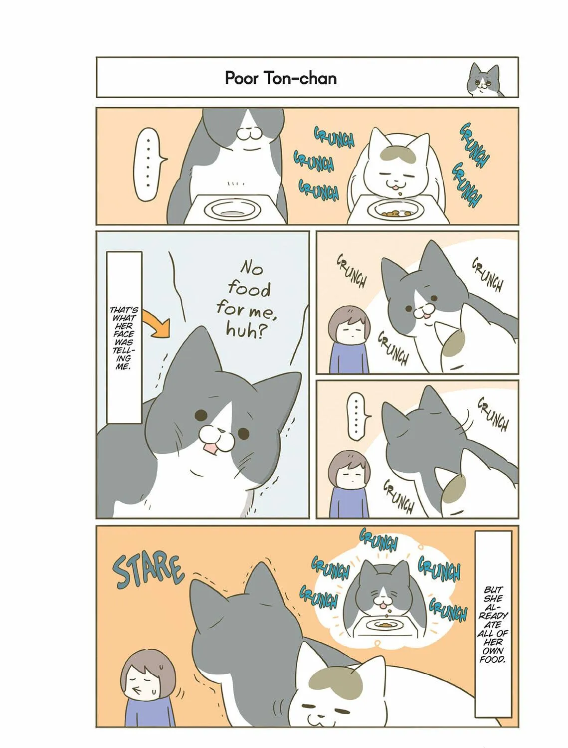 My Cat is Such a Weirdo Chapter 51 page 19 - 