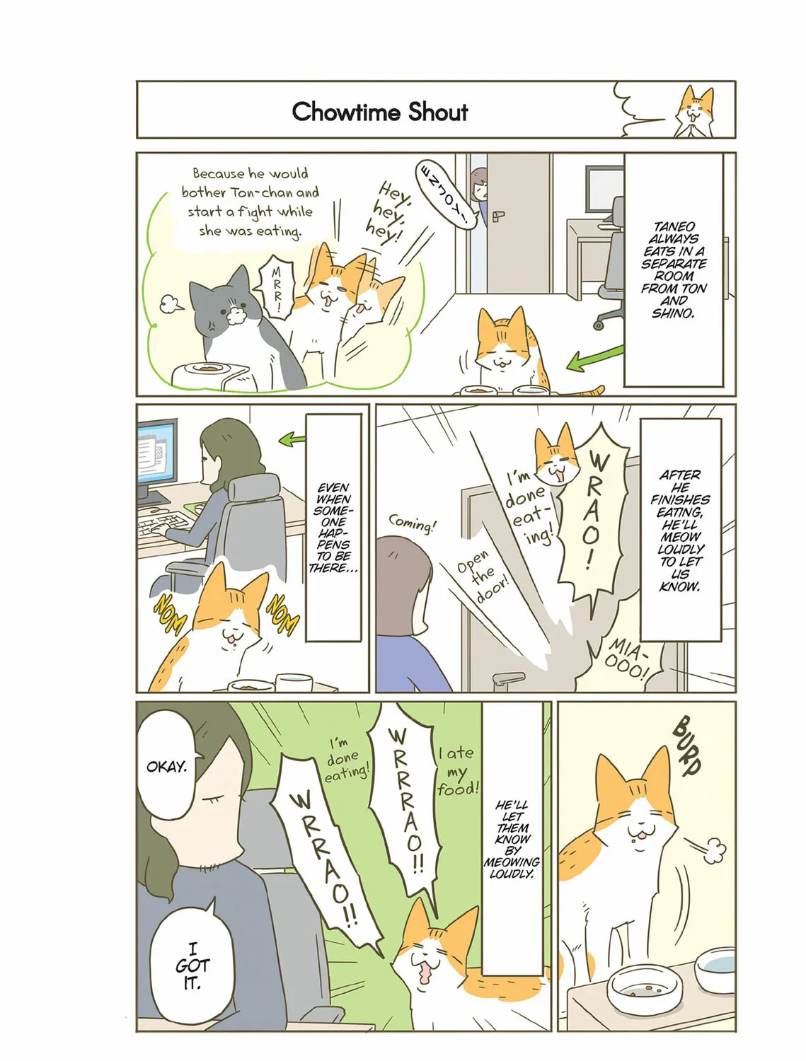 My Cat is Such a Weirdo Chapter 51 page 3 - 