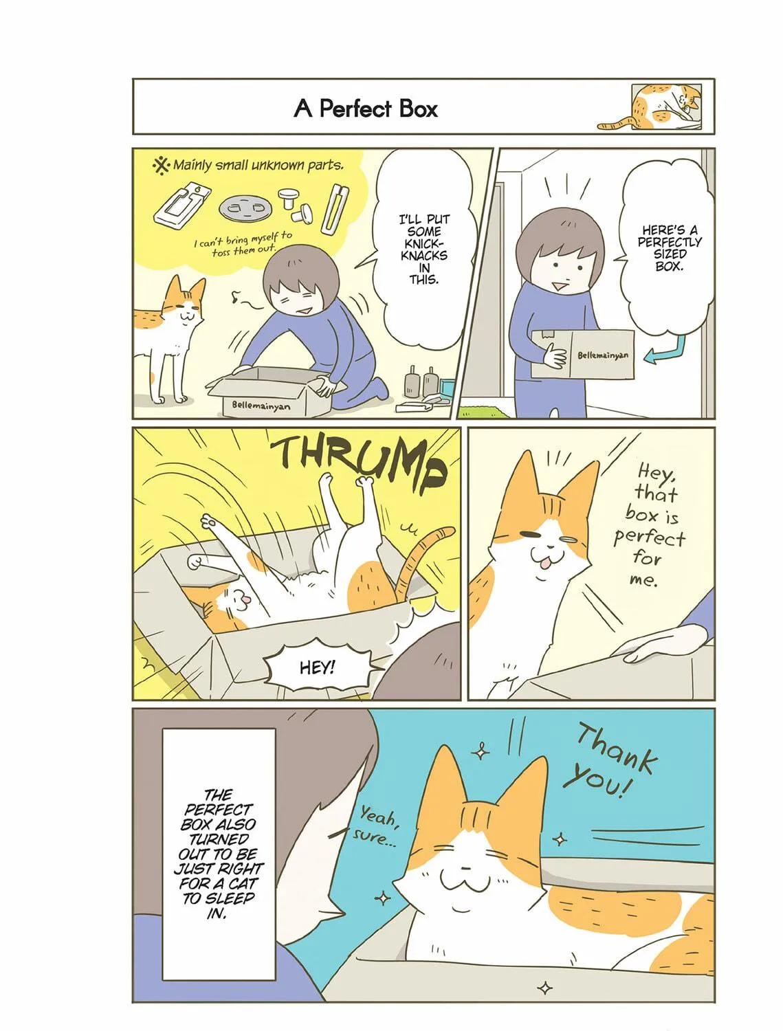 My Cat is Such a Weirdo Chapter 52 page 11 - 