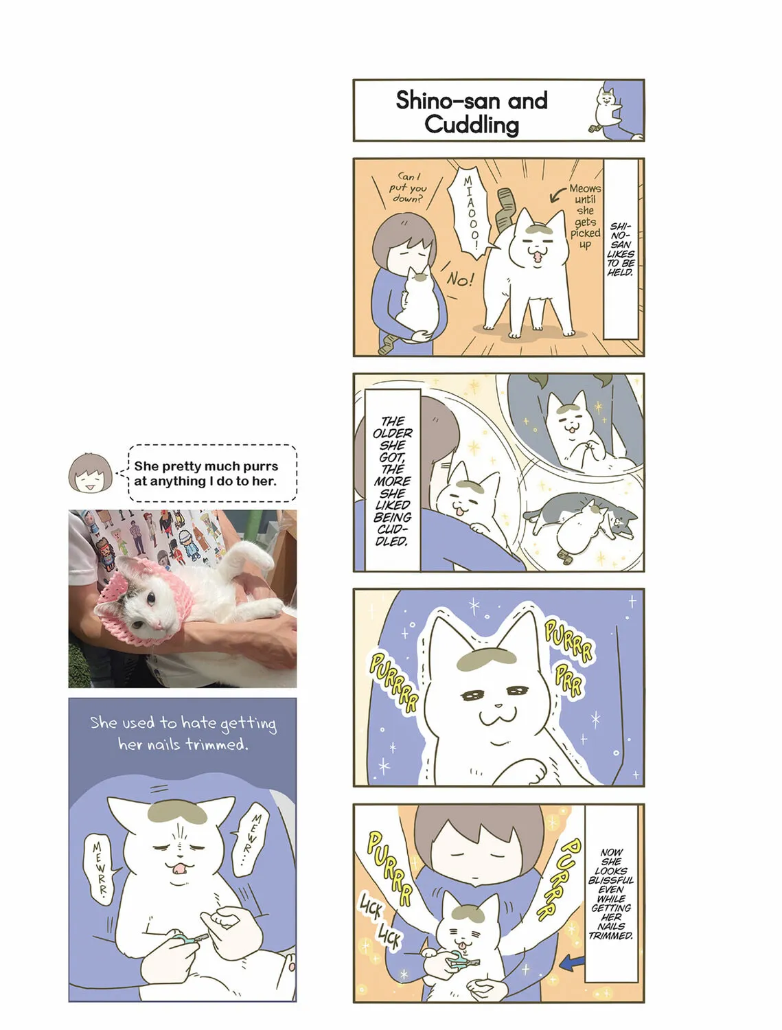 My Cat is Such a Weirdo Chapter 52 page 13 - 