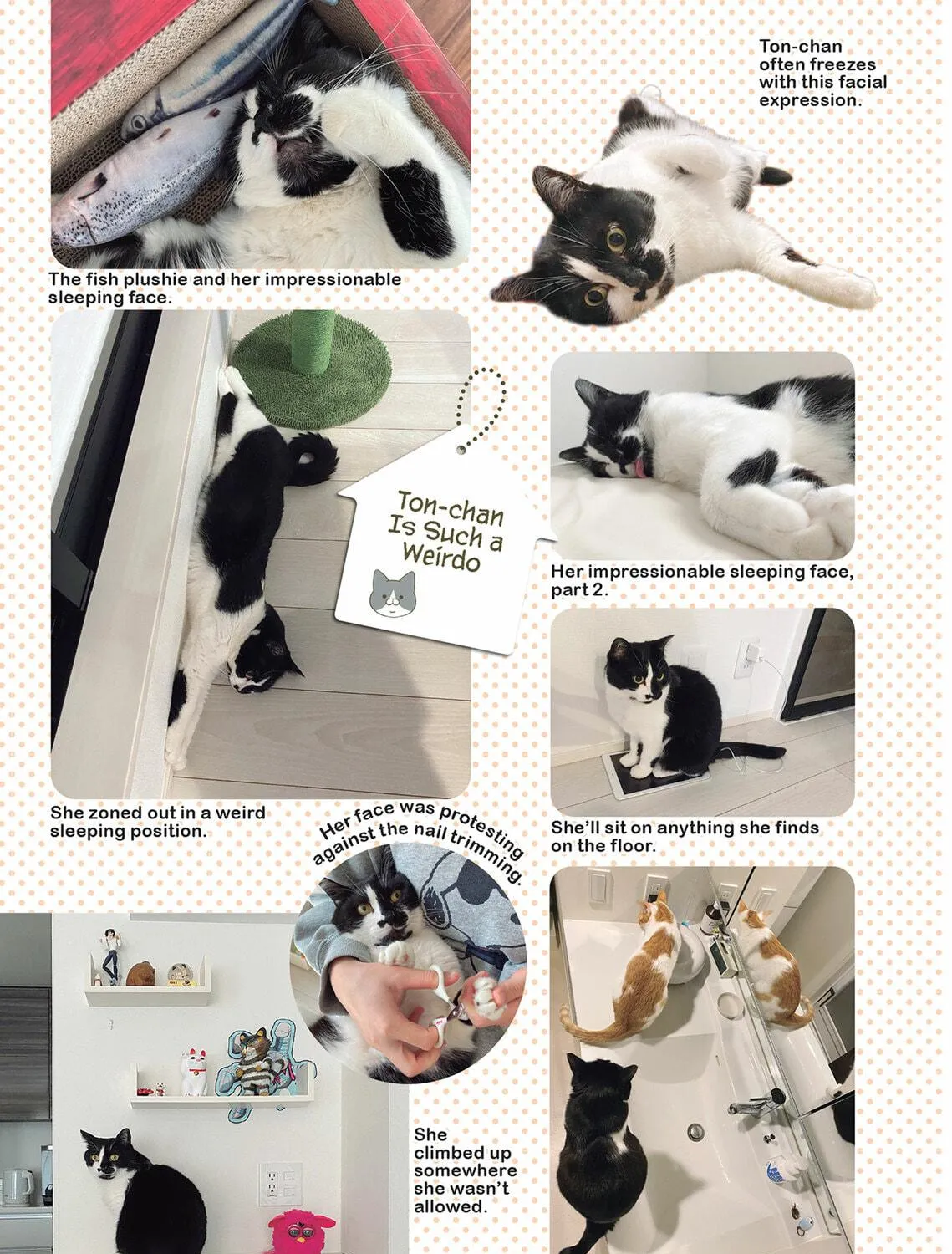 My Cat is Such a Weirdo Chapter 52 page 17 - 