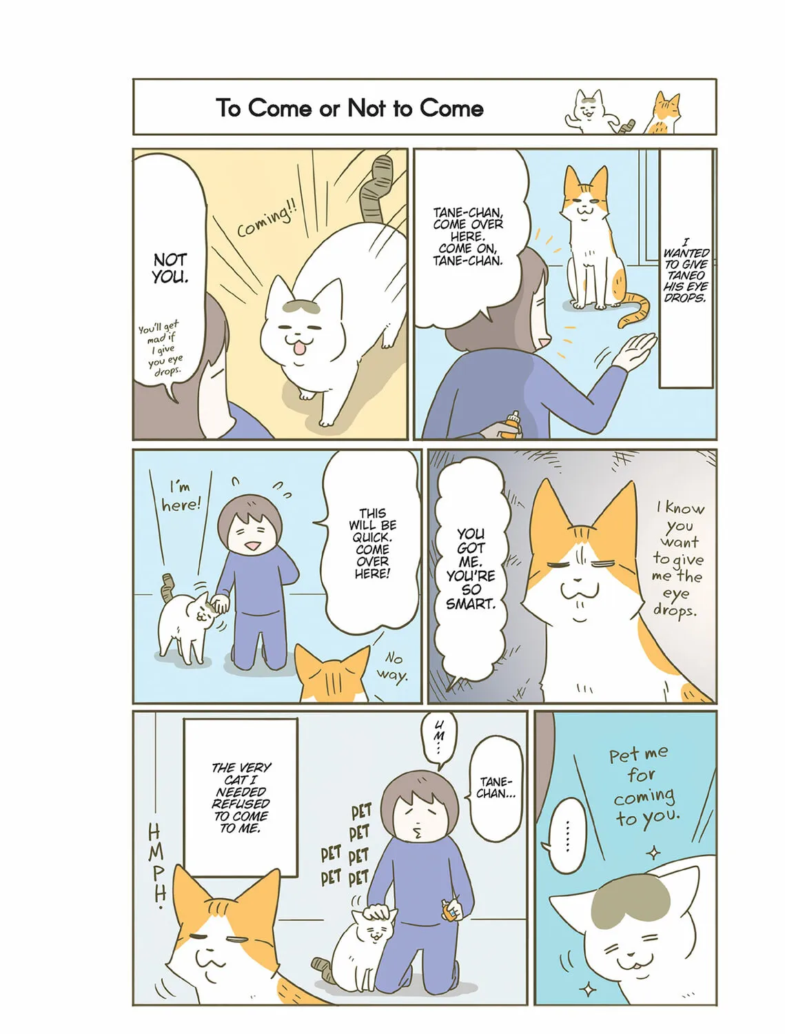 My Cat is Such a Weirdo Chapter 52 page 3 - 