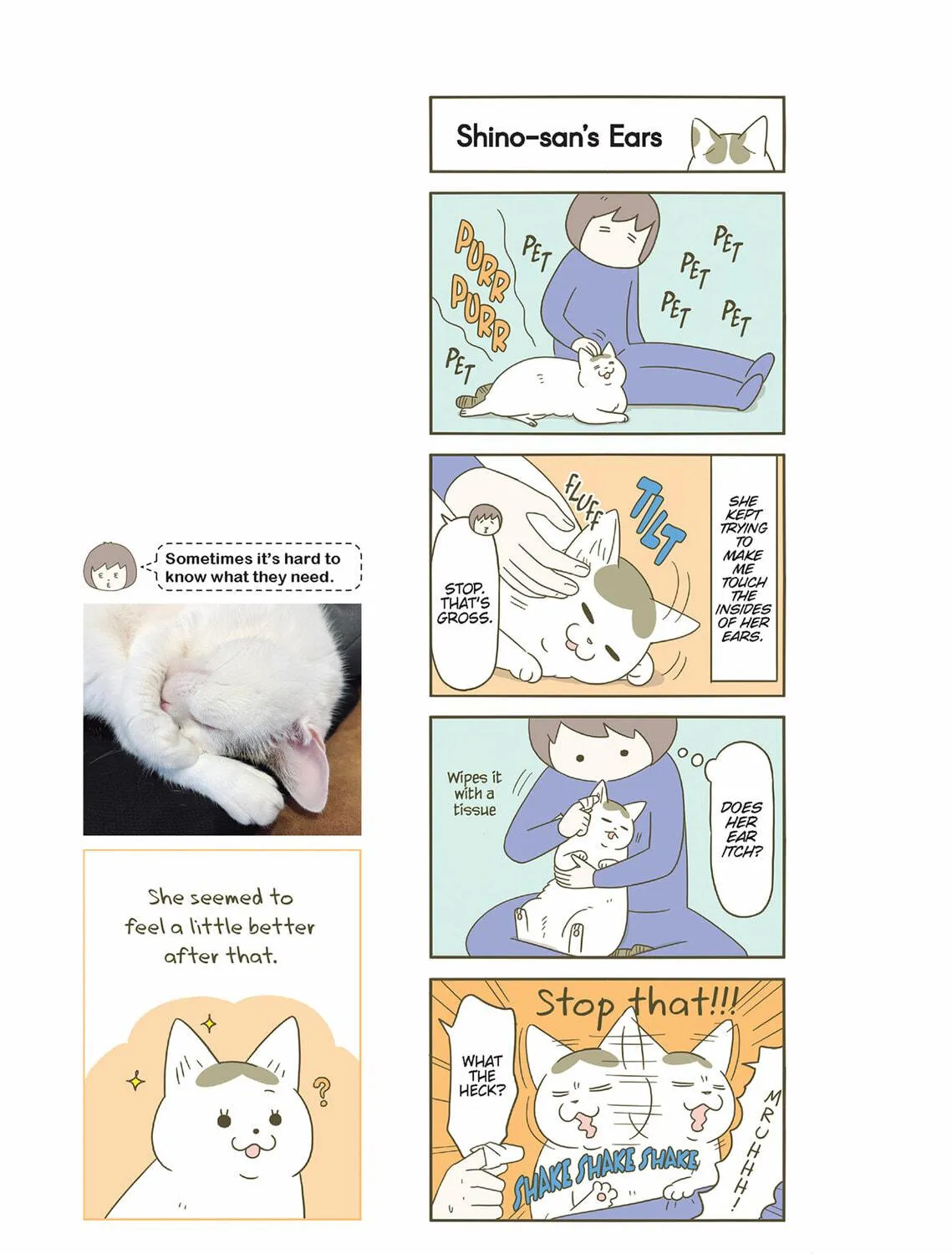 My Cat is Such a Weirdo Chapter 52 page 29 - 