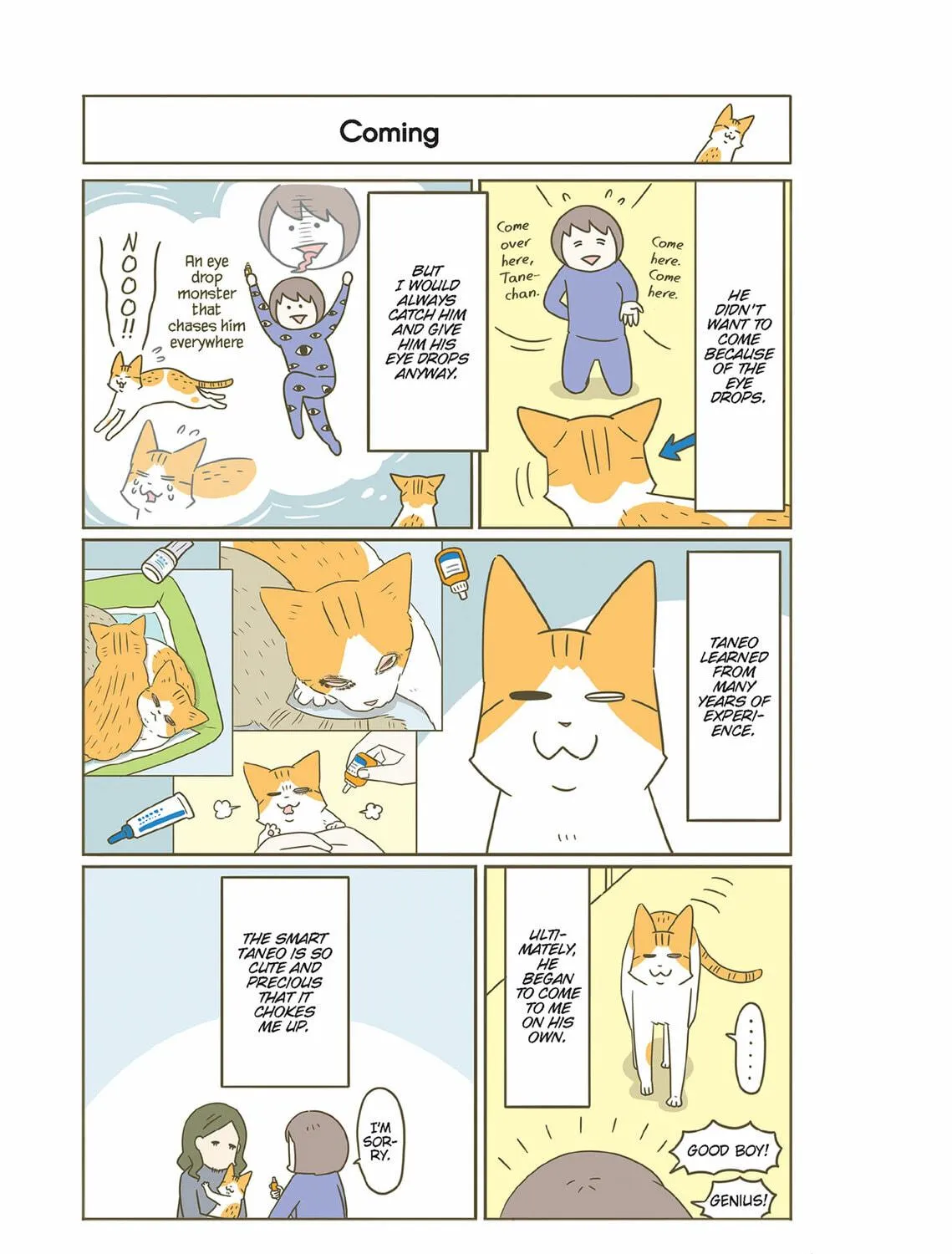 My Cat is Such a Weirdo Chapter 52 page 5 - 