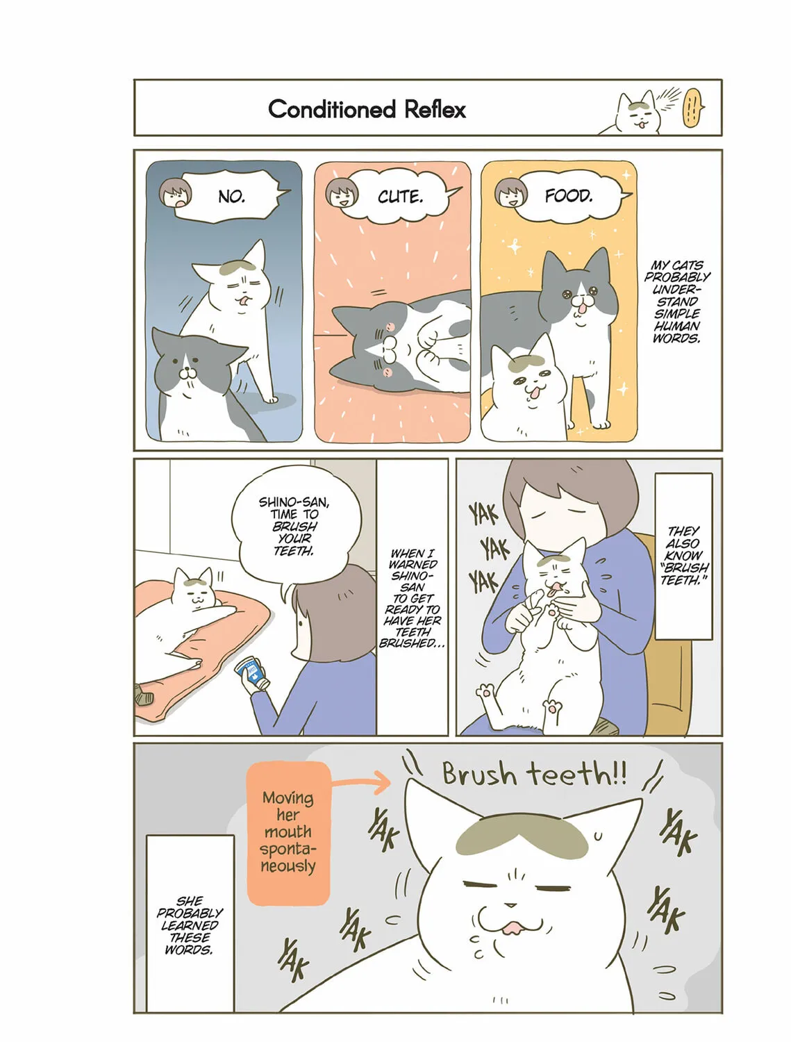 My Cat is Such a Weirdo Chapter 52 page 7 - 