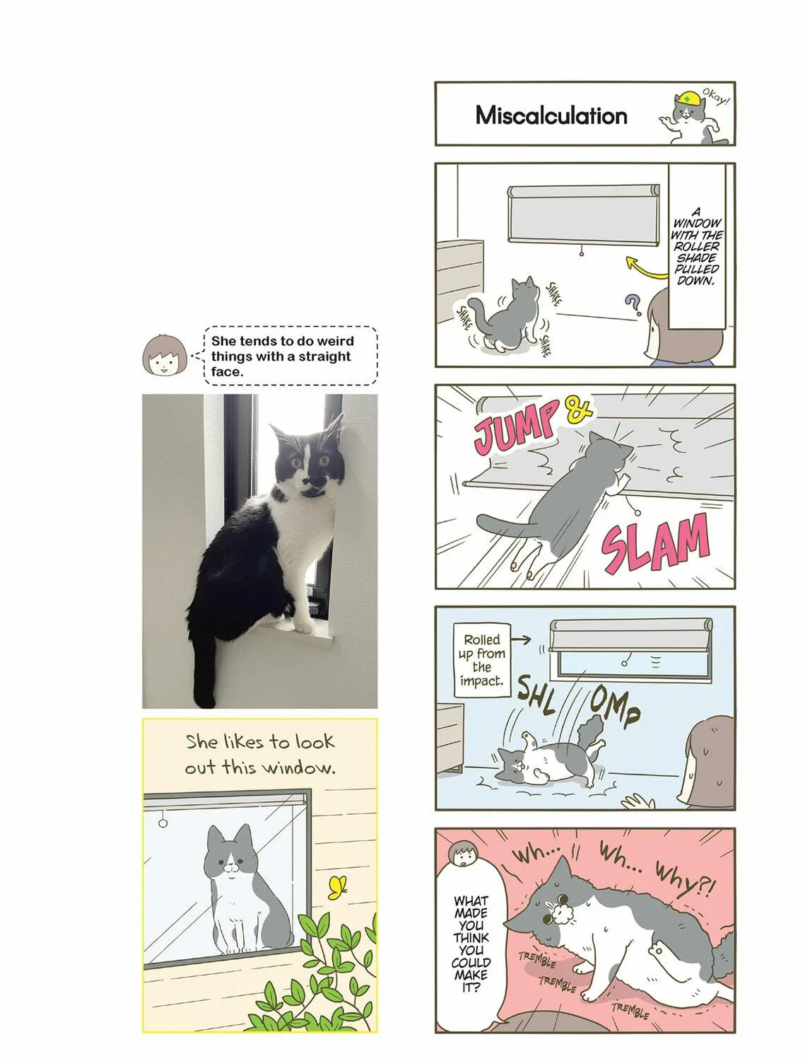 My Cat is Such a Weirdo Chapter 53 page 11 - 