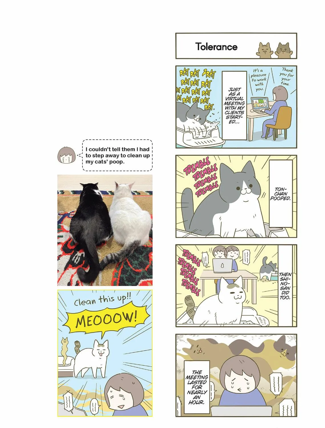 My Cat is Such a Weirdo Chapter 53 page 19 - 