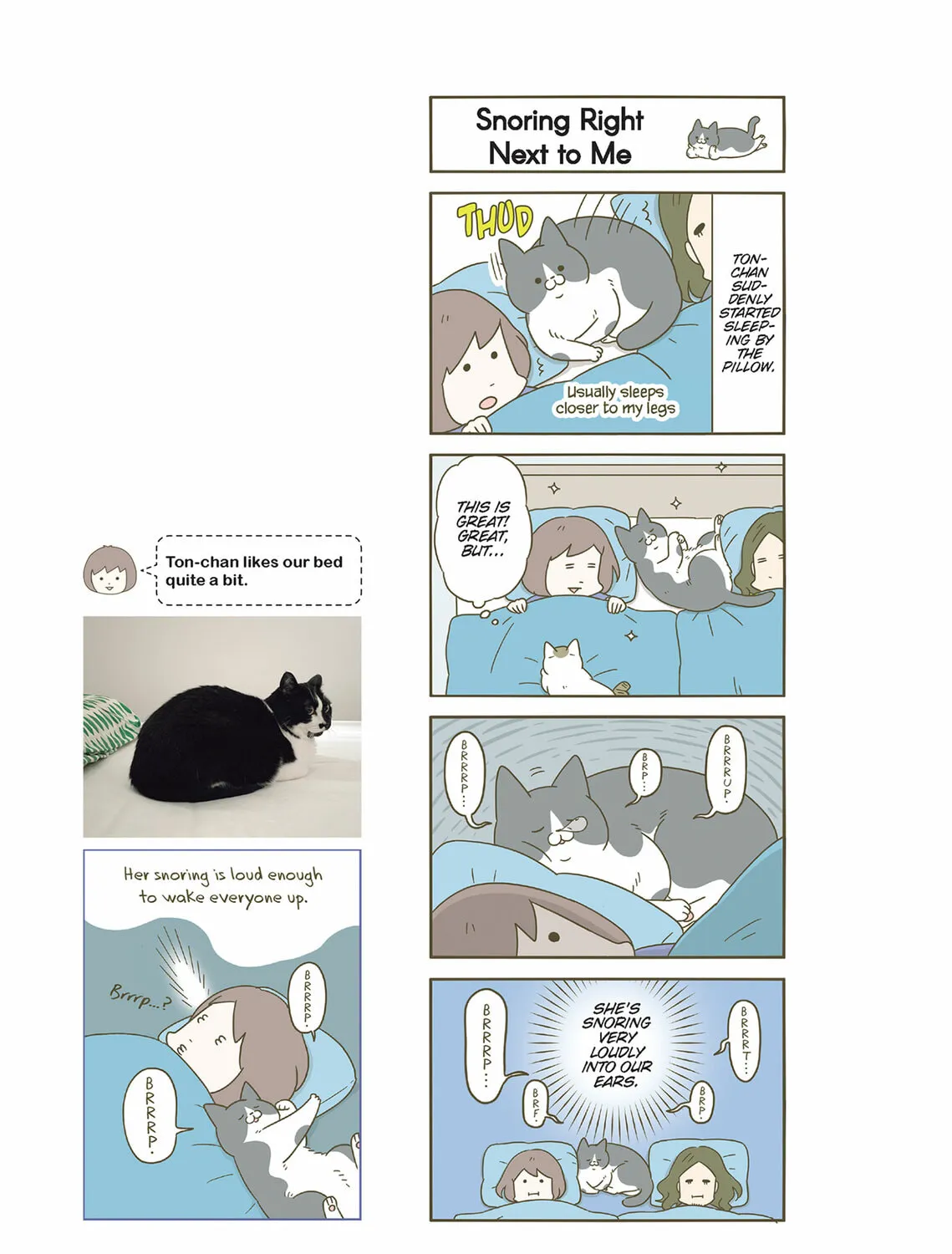 My Cat is Such a Weirdo Chapter 53 page 25 - 