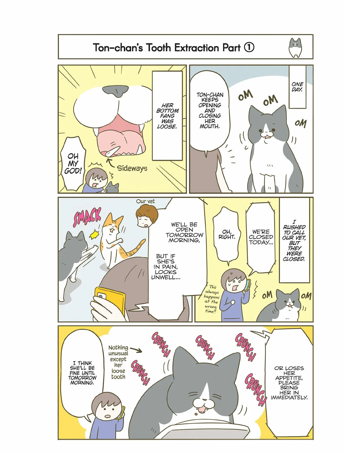 My Cat is Such a Weirdo Chapter 54 page 3 - 