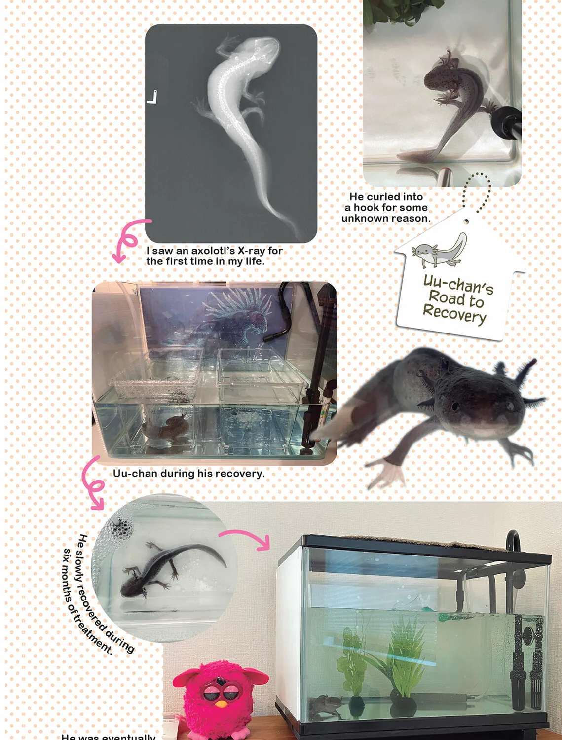 My Cat is Such a Weirdo Chapter 54 page 27 - 