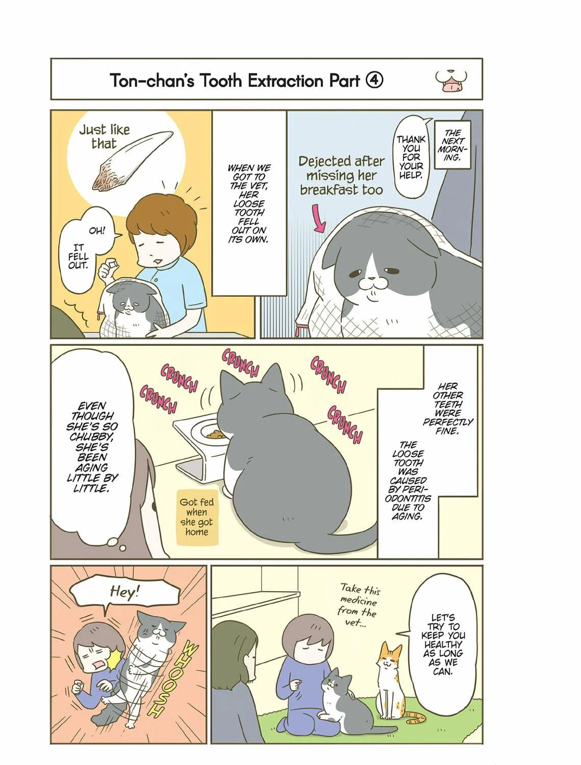 My Cat is Such a Weirdo Chapter 54 page 9 - 