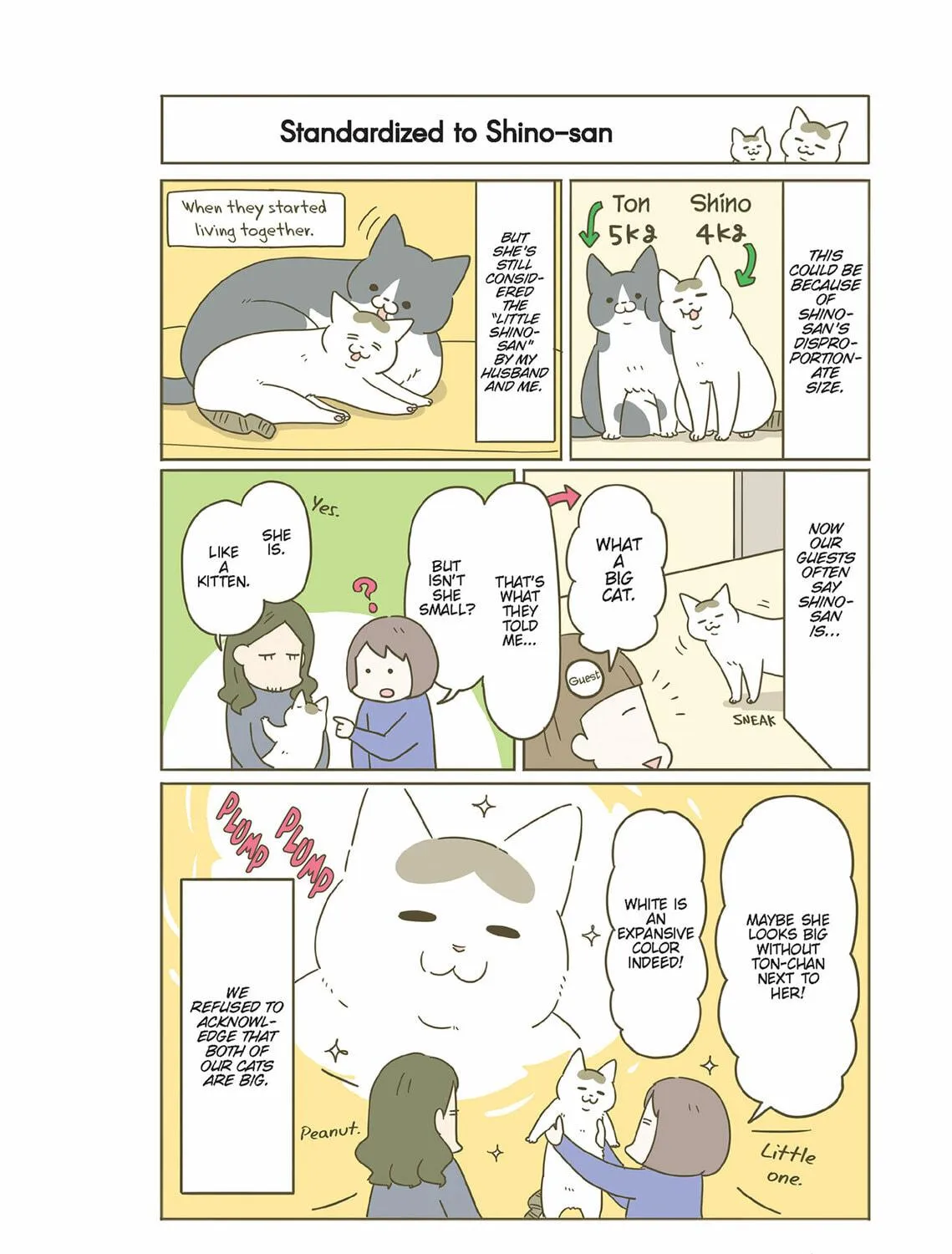 My Cat is Such a Weirdo Chapter 55 page 11 - 