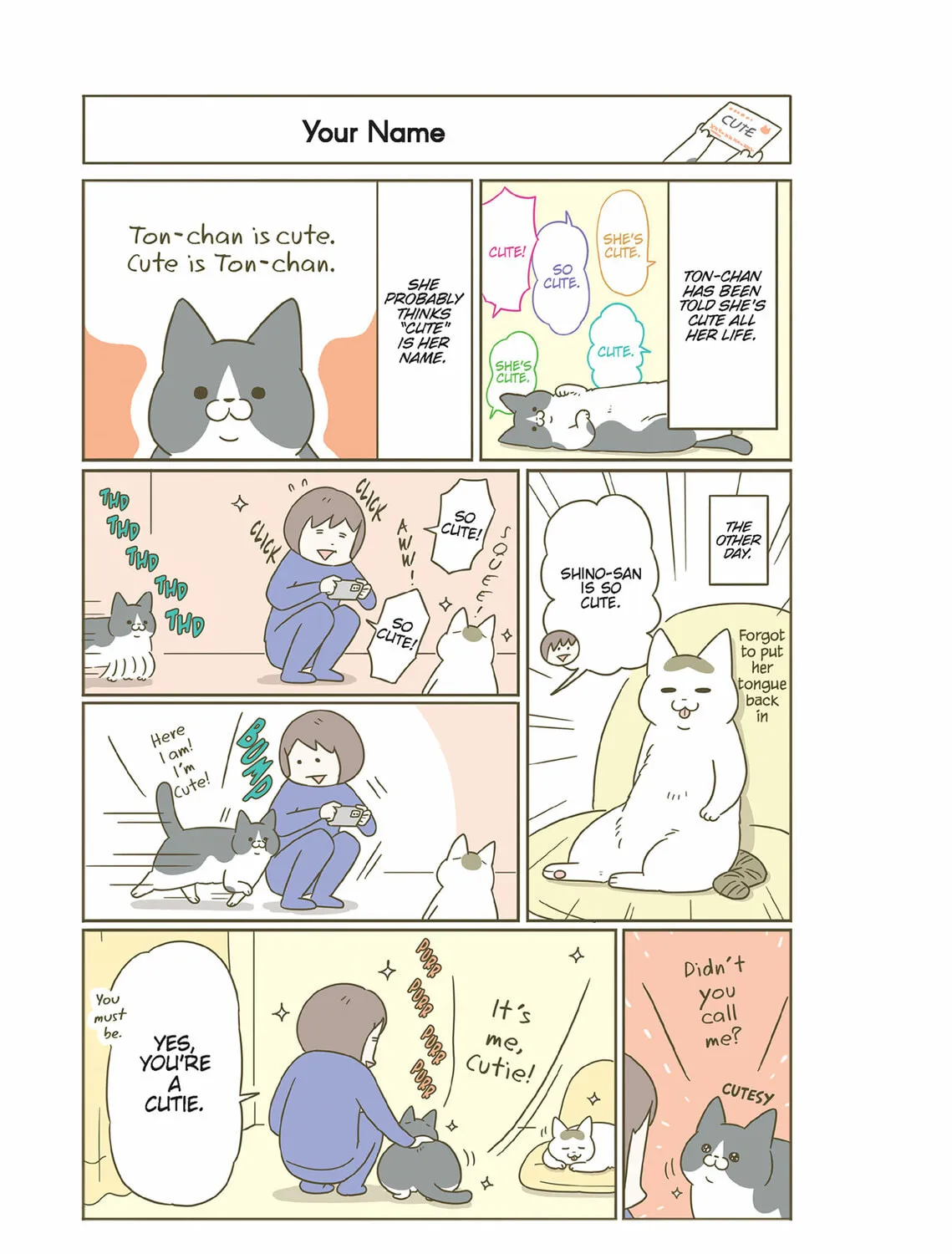 My Cat is Such a Weirdo Chapter 55 page 13 - 
