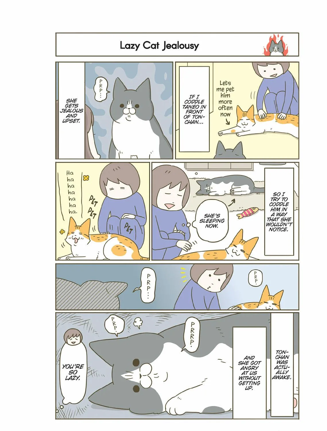 My Cat is Such a Weirdo Chapter 55 page 19 - 