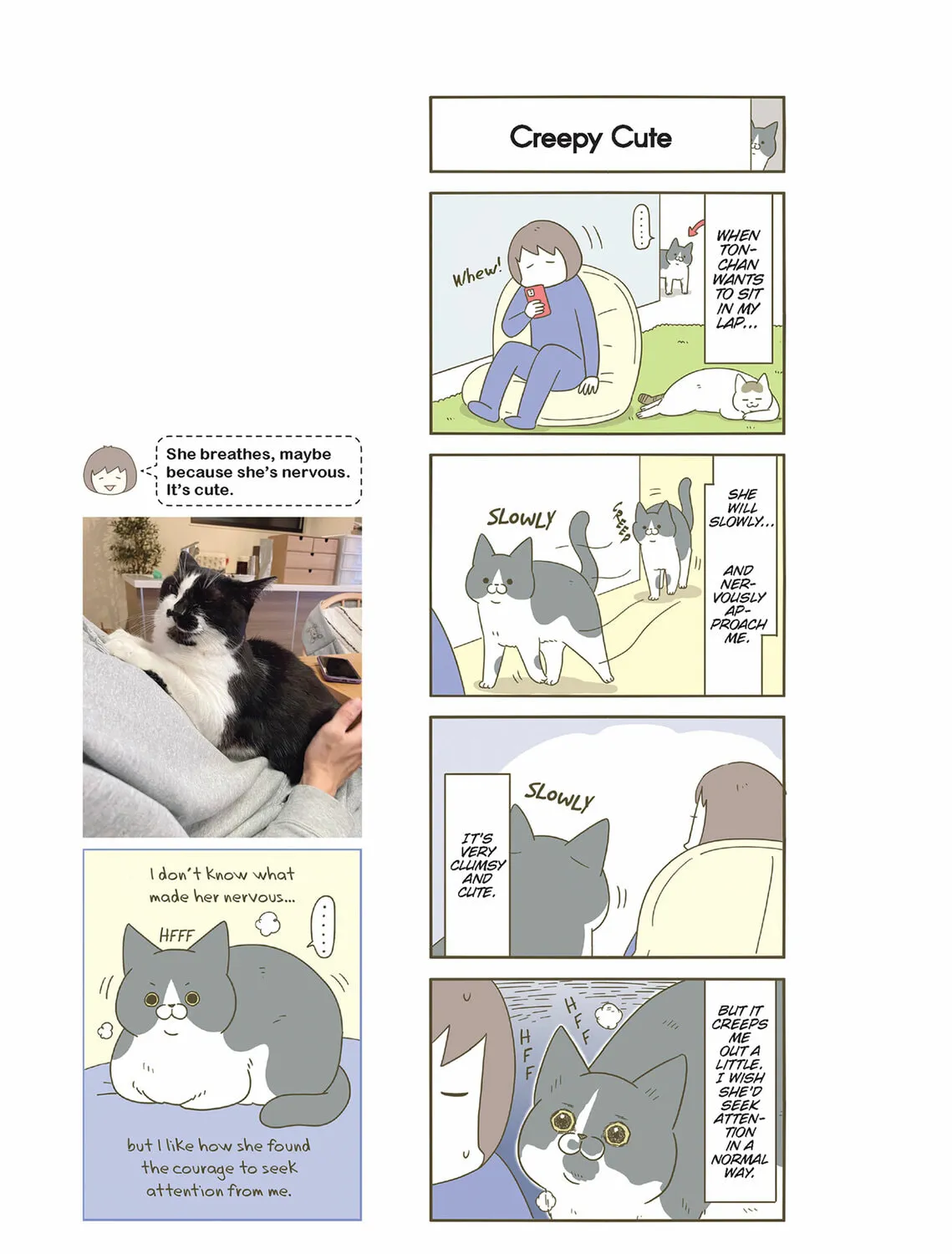 My Cat is Such a Weirdo Chapter 55 page 25 - 